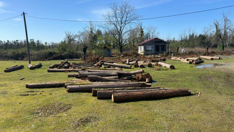 სამცხე–ჯავახეთში უკანონო ტყითსარგებლობის 42 შემთხვევა გამოვლინდა
